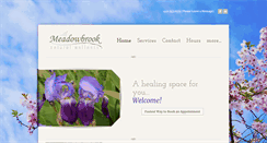 Desktop Screenshot of meadowbrookwellness.com