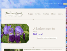 Tablet Screenshot of meadowbrookwellness.com